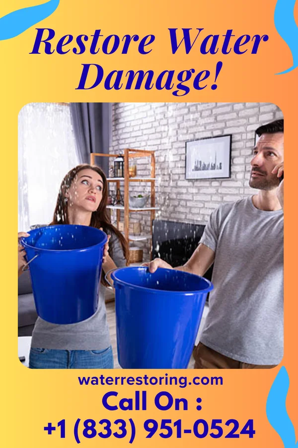 water restoration Master Water Damage Professionals Slovan